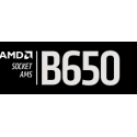 B650  - B850 (AM5)